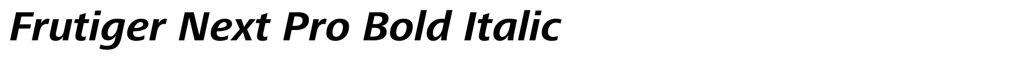 Frutiger Next Pro Bold Italic image